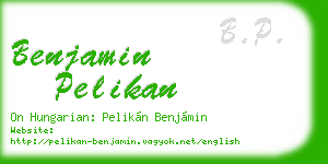 benjamin pelikan business card